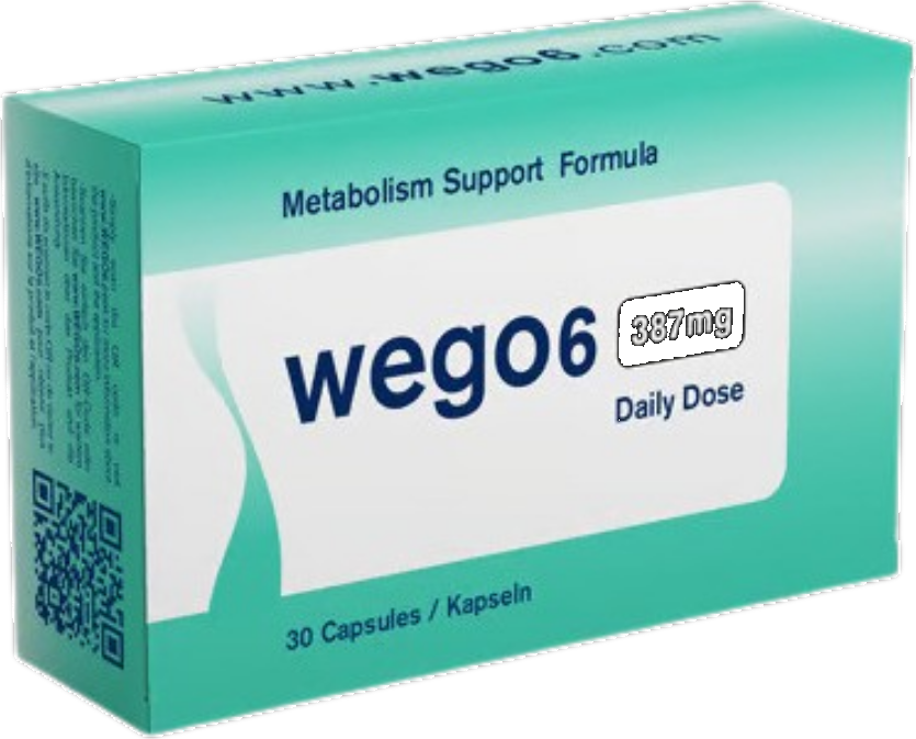 wego6